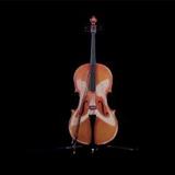 Cello